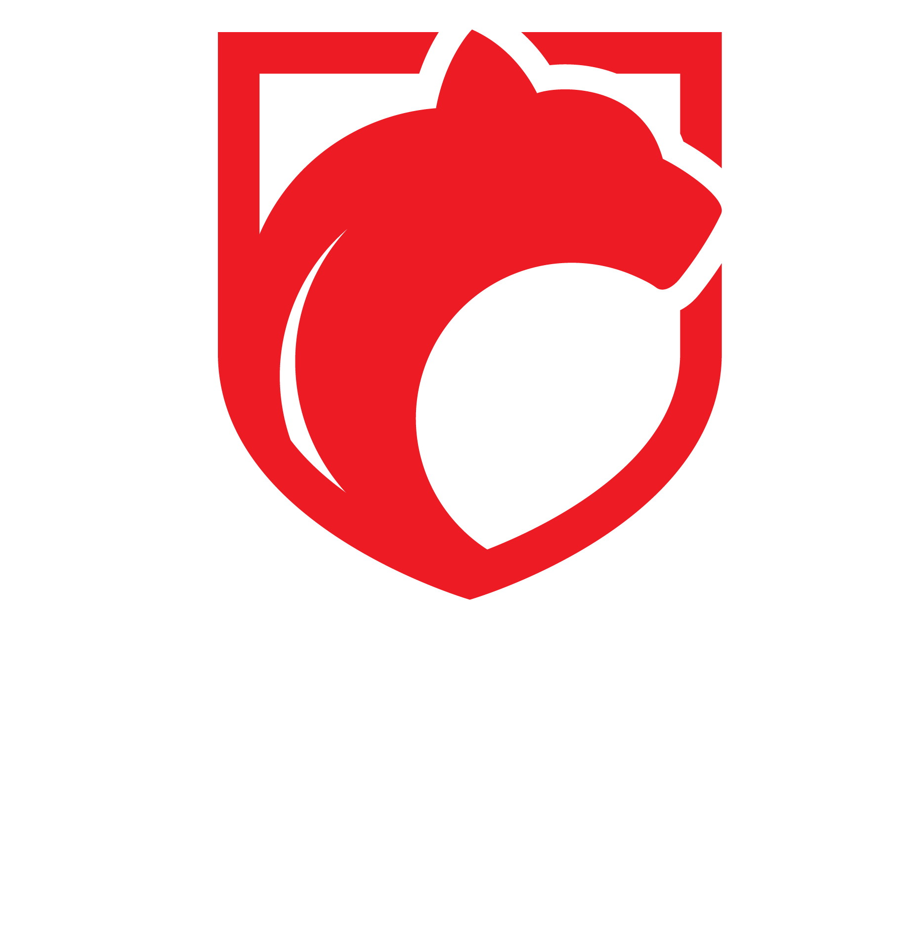 Ciberguardian